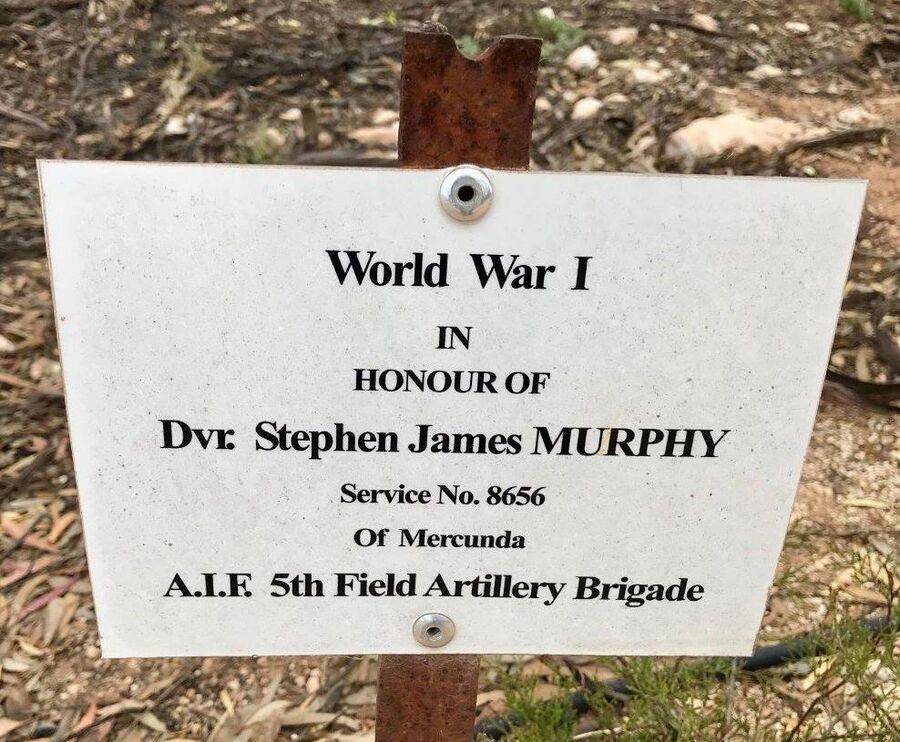 15-March-2021 15-March-2021