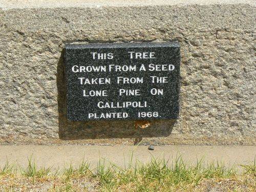 Avoca Lone Pine Memorial