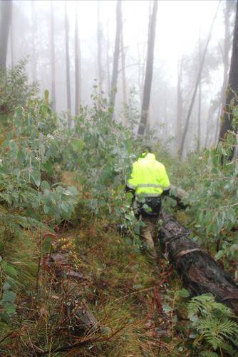 Avro Anson Aeroplane Crash : 10-June-2013 Avro Anson Aeroplane Crash : 10-June-2013
