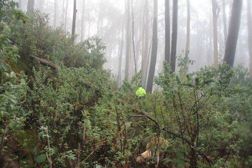 Avro Anson Aeroplane Crash : 10-June-2013