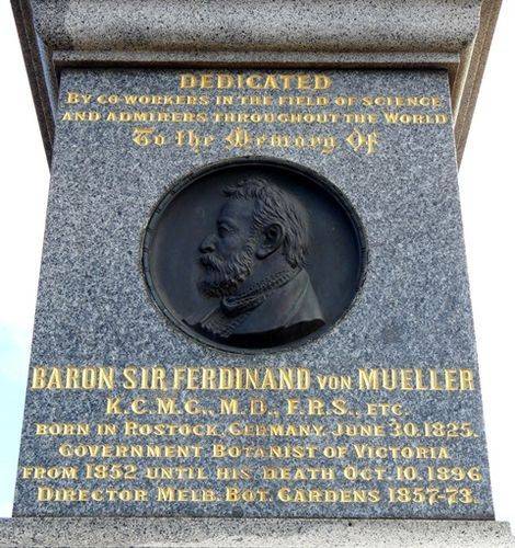 Baron Ferdinand Von Meuller : 14-June-2013