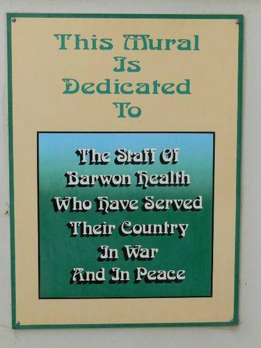 Barwon Health Garden Mural : 28-August-2011