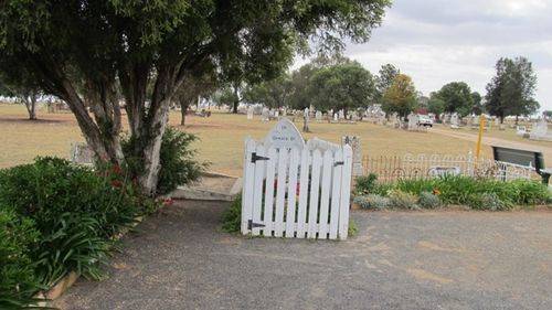 Ben Hall`s Grave 2 : 10-11-2013