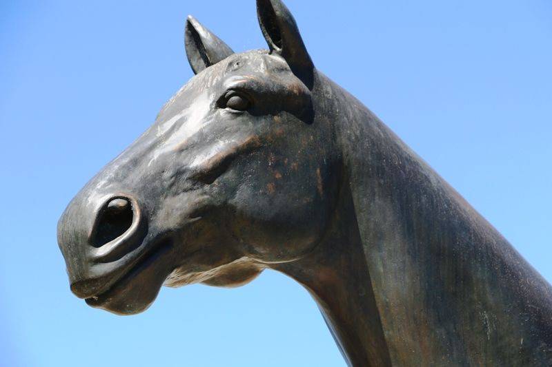 29-January-2019 (John Huth) 29-January-2019 (John Huth)