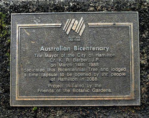 Bicentenary Tree : 24-August-2011