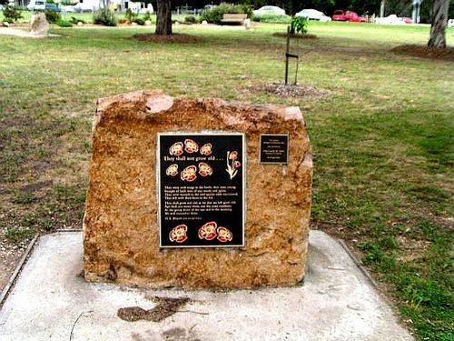 Binyon Memorial : 2007