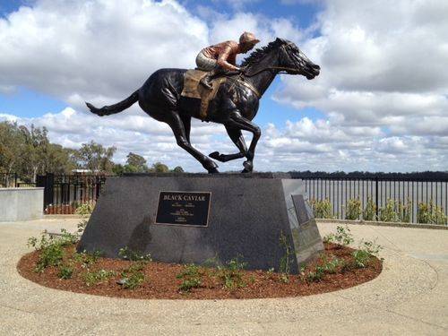 Black Caviar 10 : October 2013 Black Caviar 10 : October 2013
