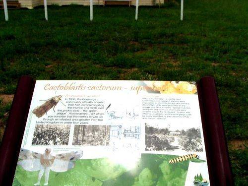 Boonarga Cactoblastis Plaque