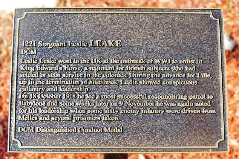 21-May-2016 21-May-2016