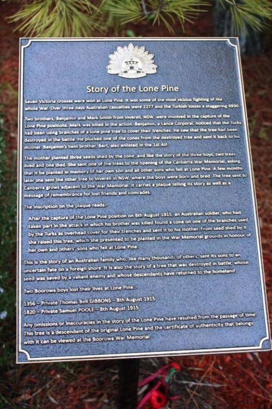 Lone Pine Plaque : 25-September-2016 (Roger Johnson) Lone Pine Plaque : 25-September-2016 (Roger Johnson)