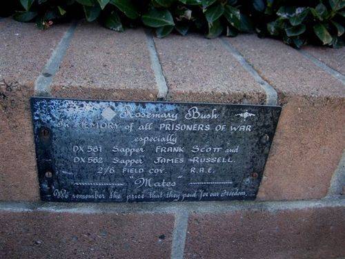 POW Plaque and Rosemary Bush : 19-06-2013 POW Plaque and Rosemary Bush : 19-06-2013