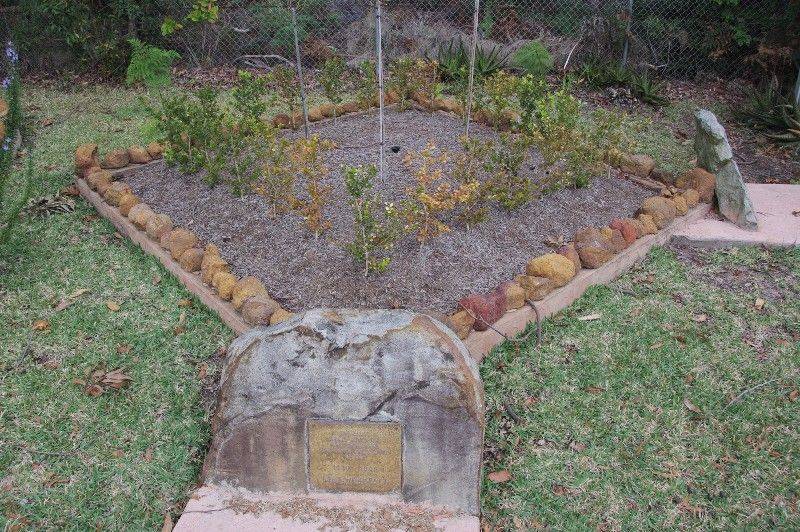 WW2 Garden: 15-June-2015