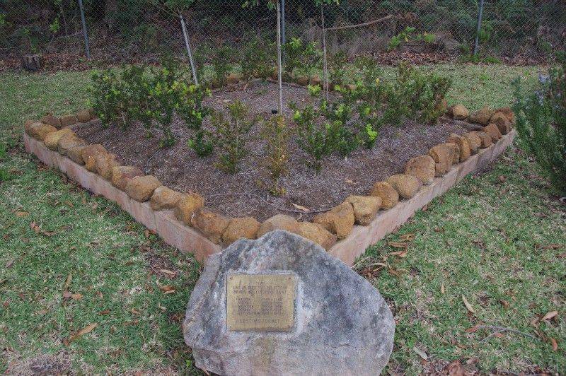 Post-WW2 Garden : 15-June-2015