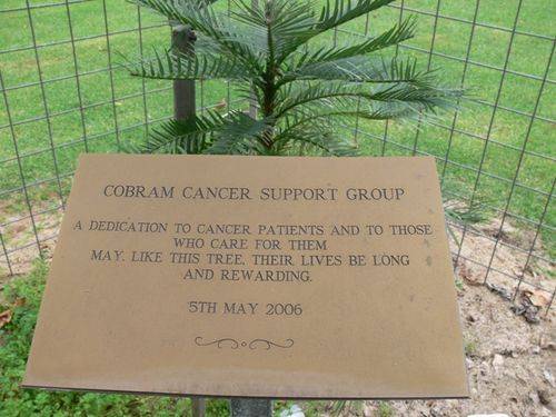 Cancer Patients and Carers : 12-May-2013 Cancer Patients and Carers : 12-May-2013