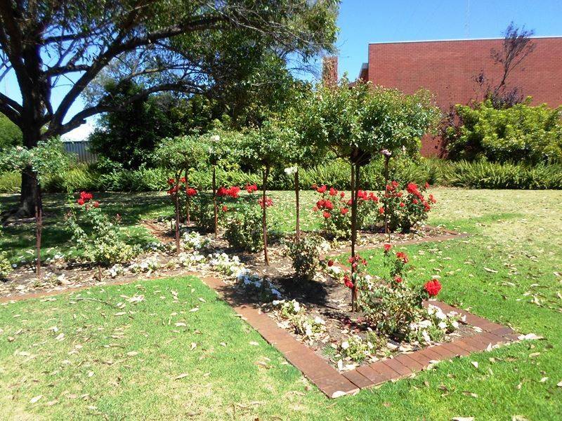 09-October-2015 (Bryan Hardy) 09-October-2015 (Bryan Hardy)