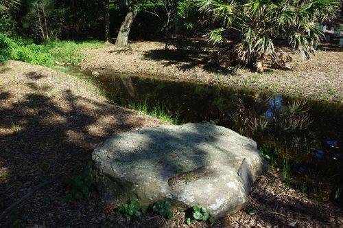 Captain Cooks Landing Site Stream
