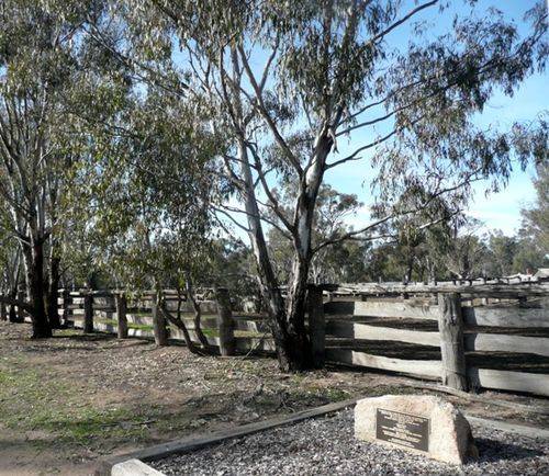 Cattle Mustering : 16-July-2012