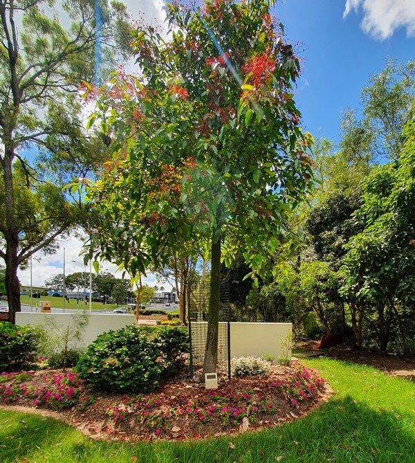 14-January-2022 (Peter Muller) 14-January-2022 (Peter Muller)