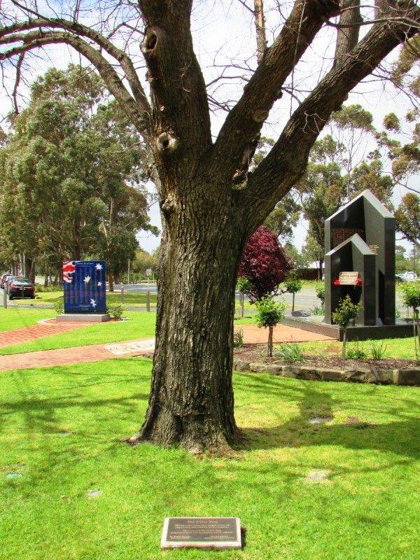 14-November-2016 14-November-2016