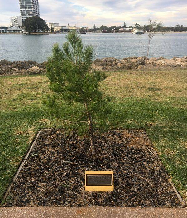 28-April-2019 28-April-2019