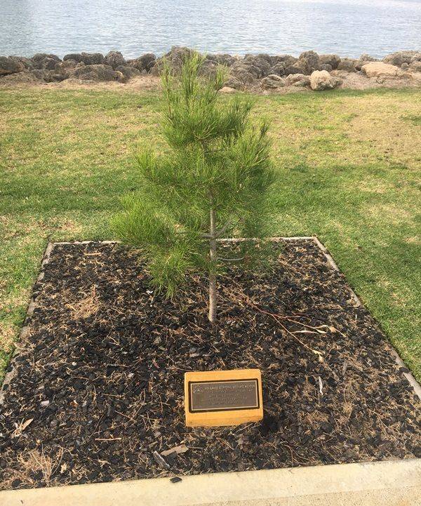 28-April-2019 28-April-2019