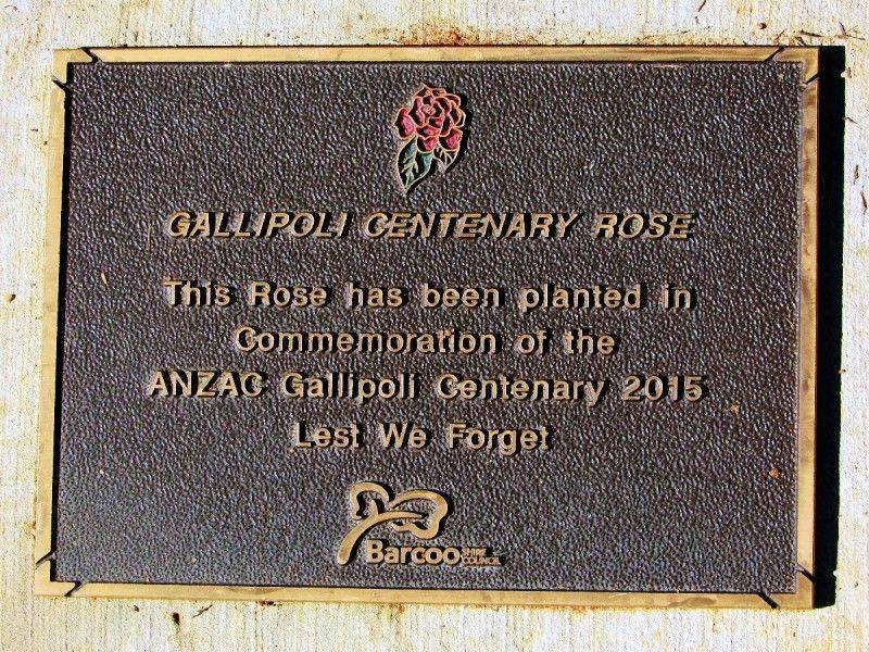 01-June-2019 01-June-2019