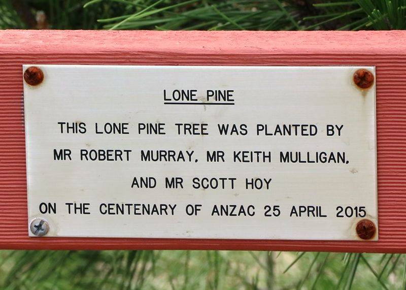 19-January-2020 19-January-2020