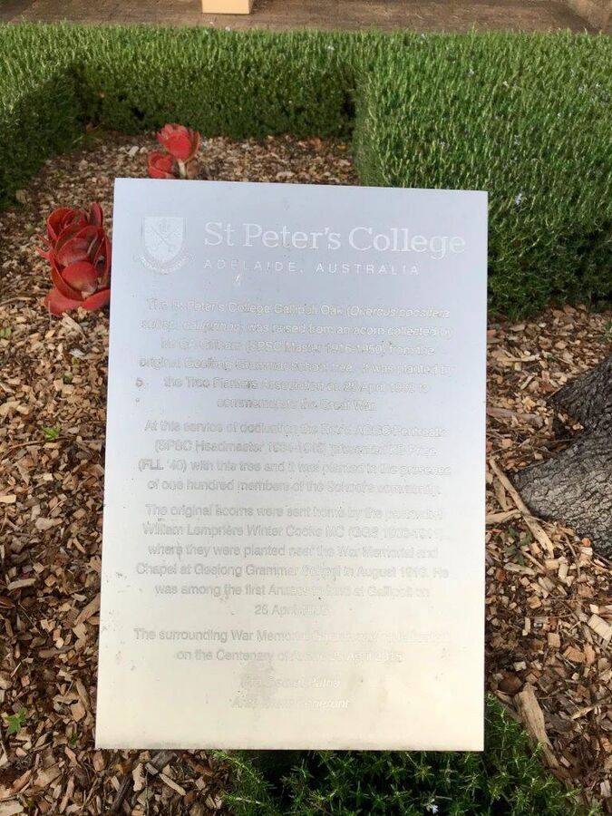 15-October-2020 15-October-2020