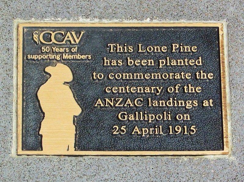 13-April-2019 13-April-2019