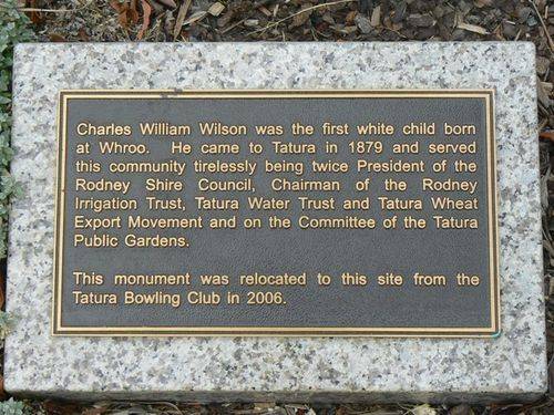 Charles William Wilson