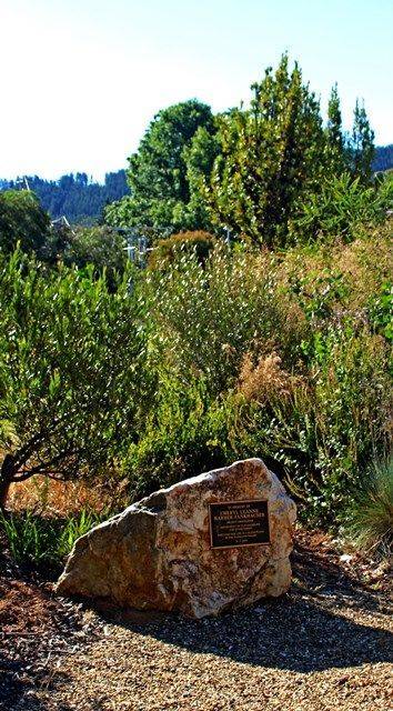 Memorial 2 : 17-December-2016