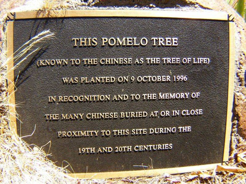 Plaque Inscription : 29-November-2014