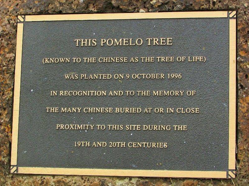 Plaque Inscription: 29-November-2015
