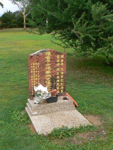 Chinese Pioneers