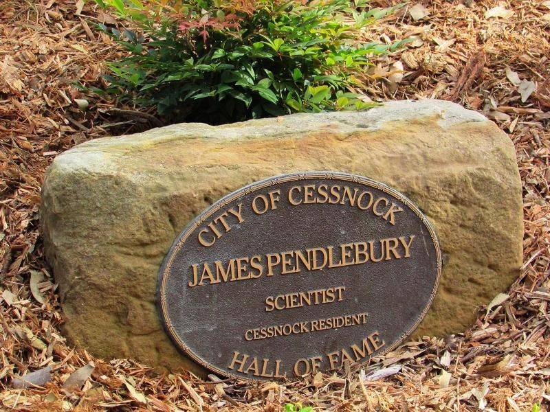 Pendlebury : 26-May-2015