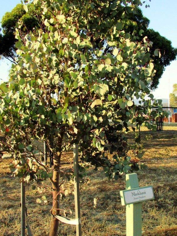 12-April-2019 12-April-2019