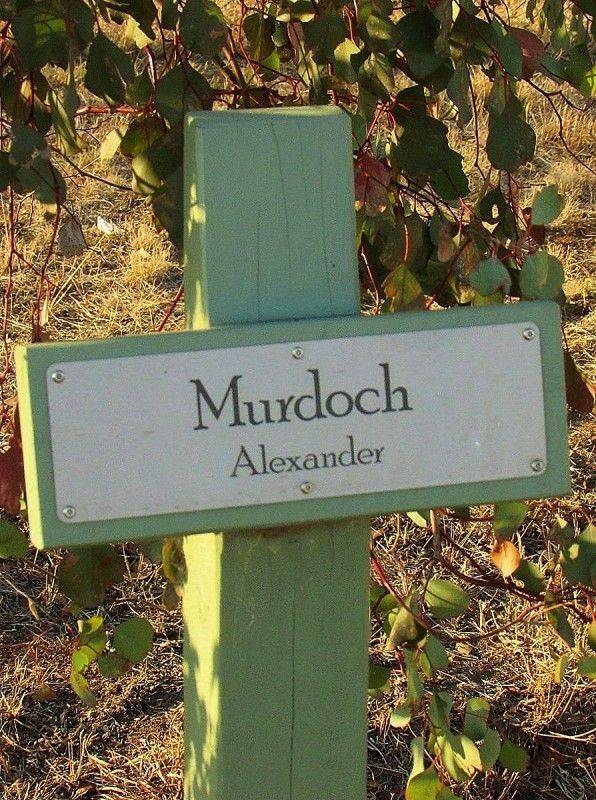 12-April-2019 12-April-2019