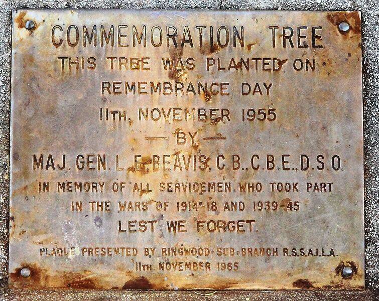 19-February-2021 19-February-2021