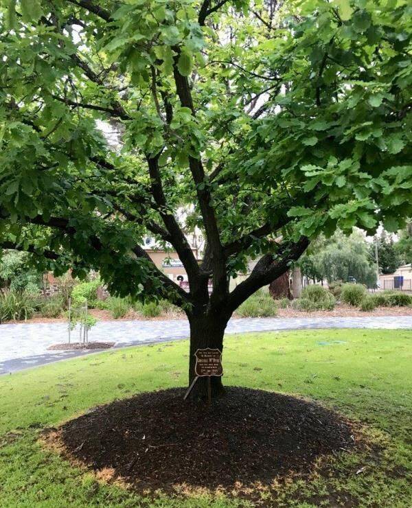 08-February-2021 08-February-2021