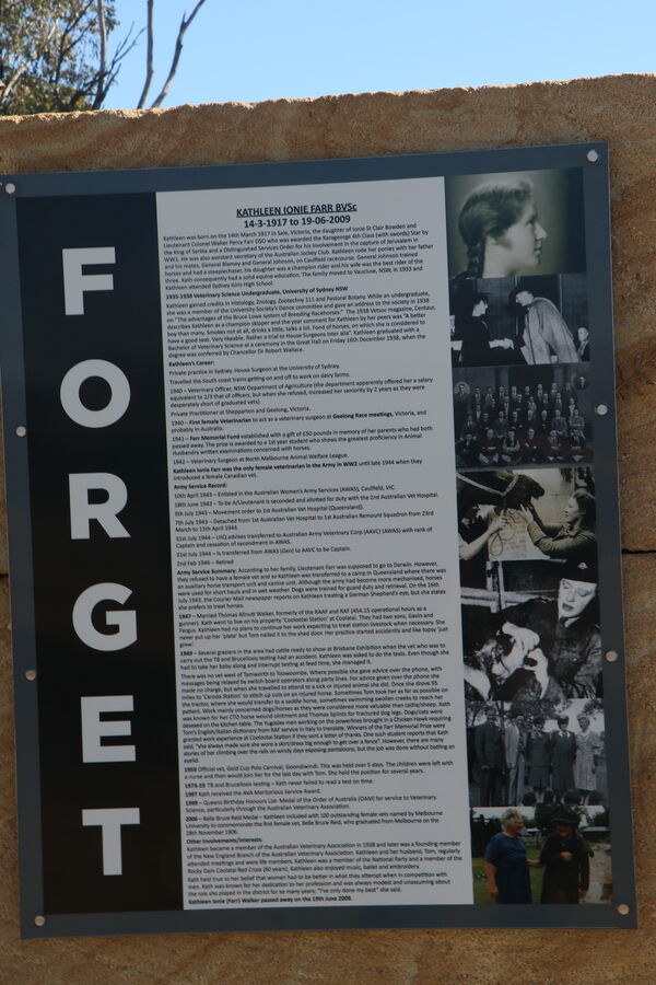 25-June-2023 25-June-2023