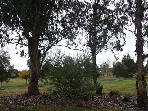 Country Womens Association : 17-June-2013