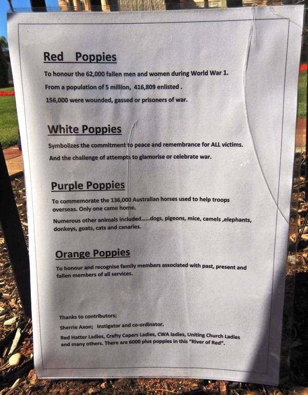 10-November-2019 (Michael Kuilboer)