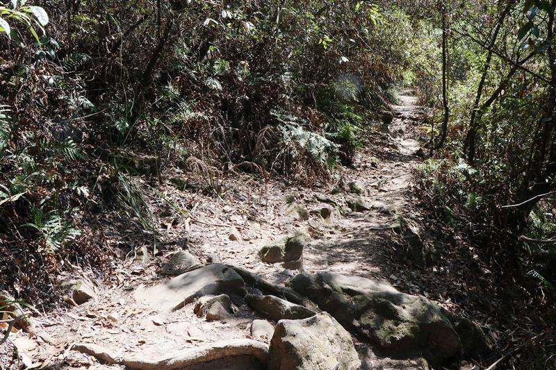 29-January-2020 29-January-2020