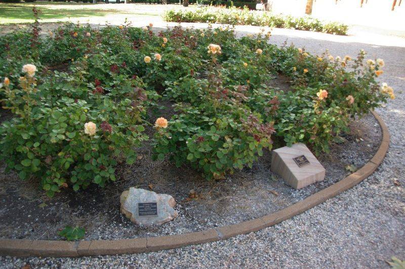 Plaque 2 : 16-March-2015 Plaque 2 : 16-March-2015