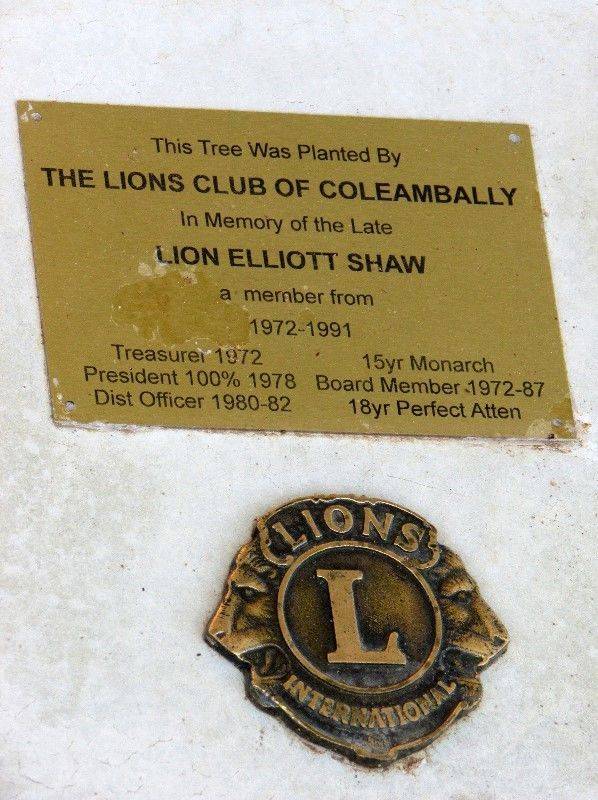 11-March-2020 11-March-2020