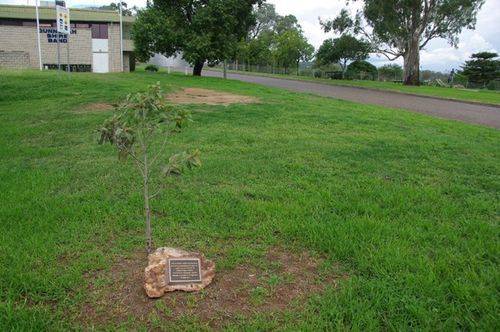 Disadvantaged Children Tree : July 2014