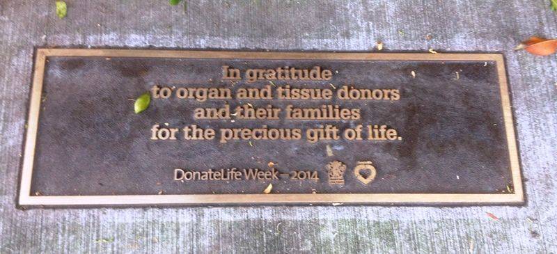 26-January-2017 26-January-2017