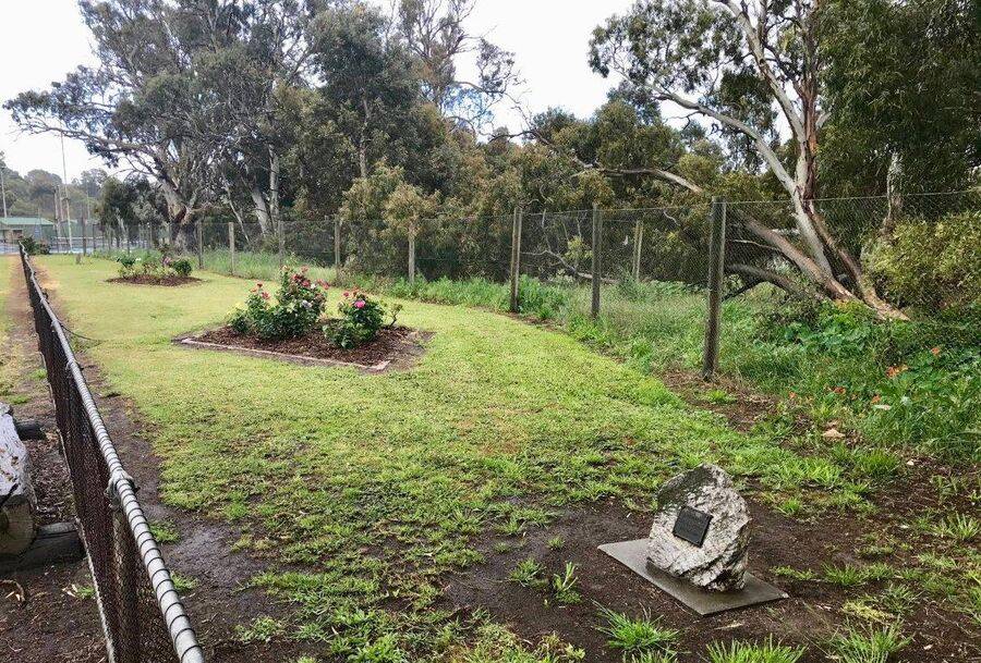 11-December-2020 11-December-2020