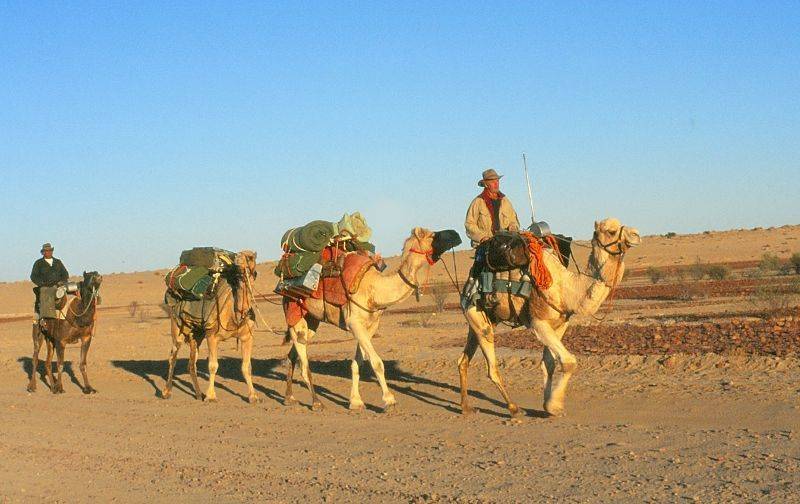 1994 : Danny Colson & Denis Bartell arriving at Birdsville (Denis Bartell)
