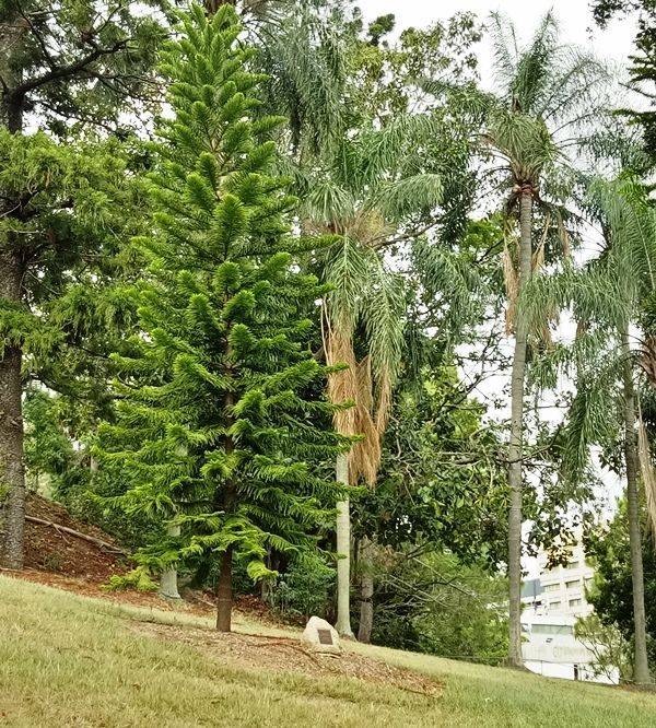 21-January-2018 (Russell Byers)